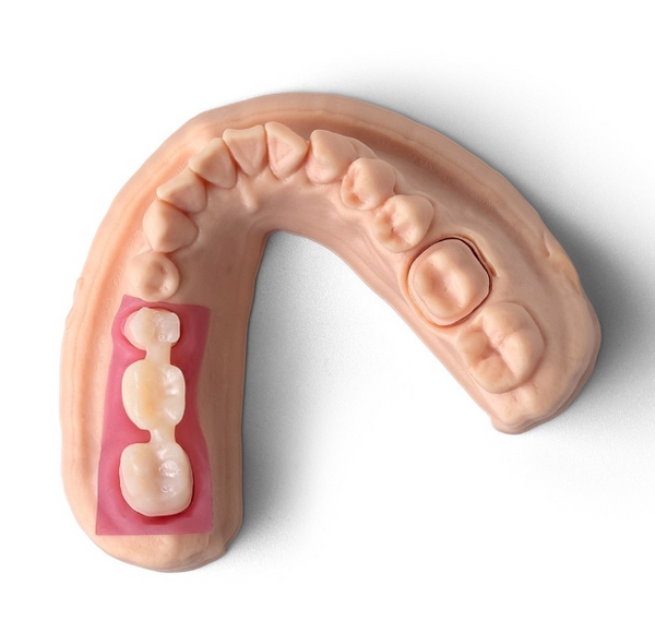 Phrozen Gingiva Mask Resin 500G Ultimate 3D Printing Store