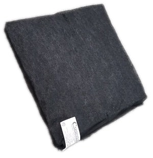 NextDent Carbon Filter