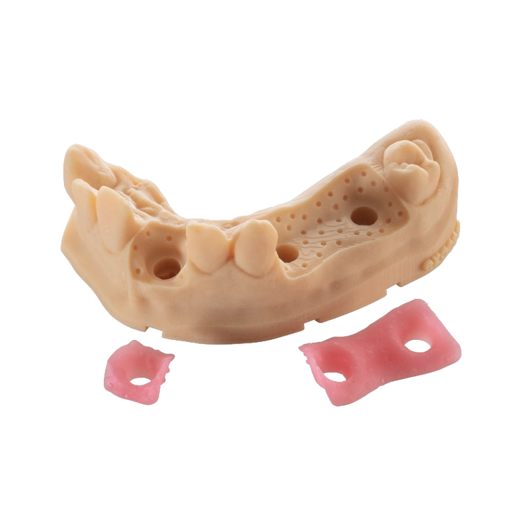 BASF - Ultracur3D DM 2304 - Gingiva Mask - Ultimate 3D Printing Store