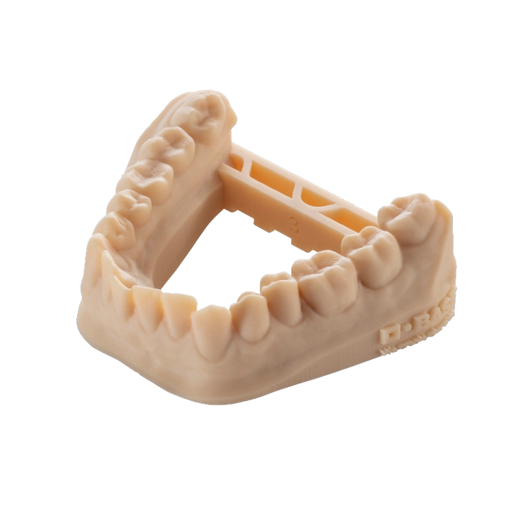 BASF - Ultracur3D DM 2505 - Dental Model Beige - Ultimate 3D Printing Store