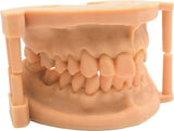 DruckWege - Type D Dental Model DLP/LCD Resin - Beige - 500g